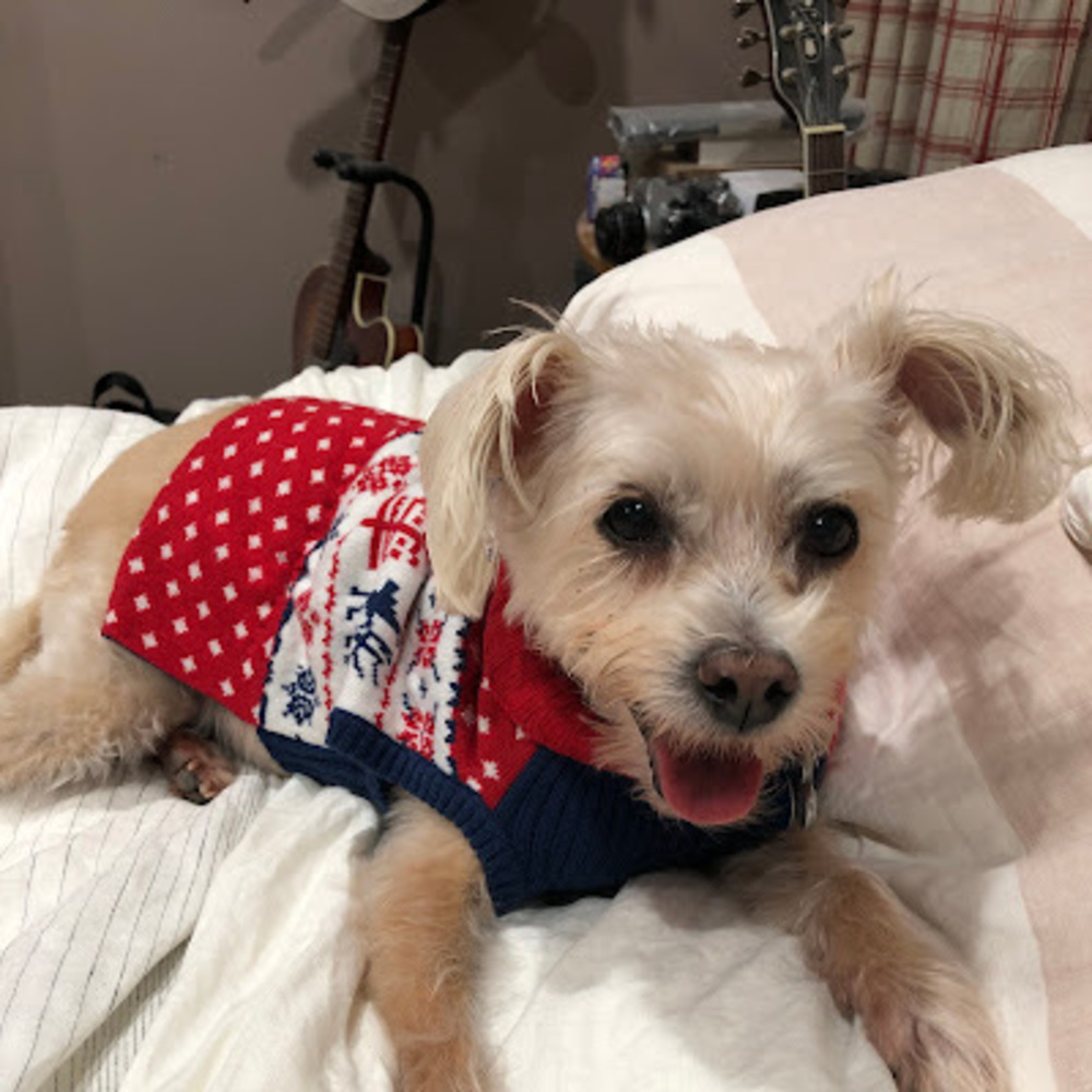 Meet your Posher, Logan